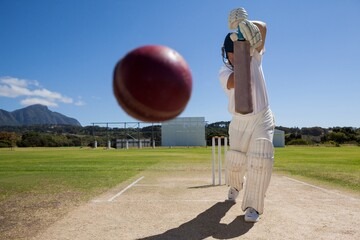 The Role of Cricket in Promoting Indigenous Languages: Language Revitalization Efforts Through Sport