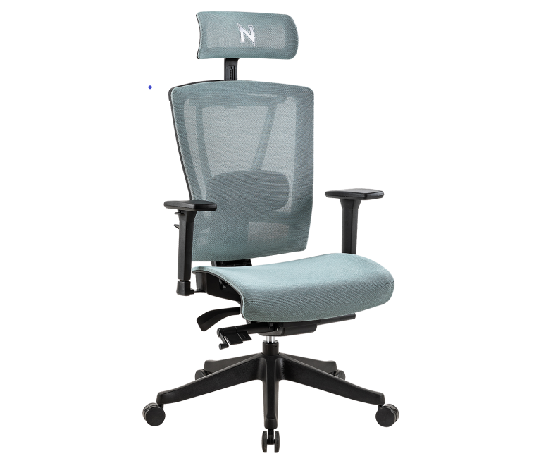 Hinomi Vs NextChair: Choosing the Best Office Chair for Your Needs