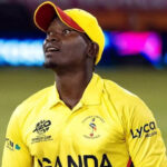 Playexch Review 2026: Features, Security, Mobile Play & 24/7 Betting Experience