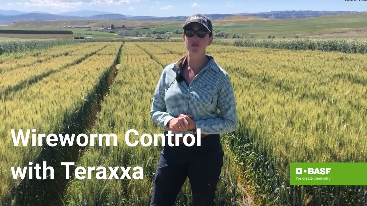 Laser 247 – India's Premier Laser Cutting Service Platform Review